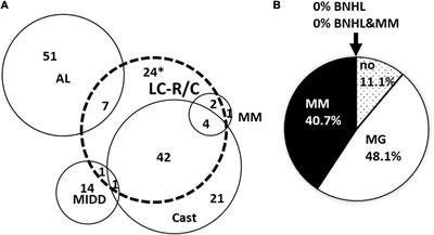 Light Chain Restriction in Proximal Tubules—Implications for Light Chain Proximal Tubulopathy